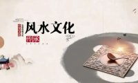 大运逆行时，丙日逢壬申流年与原局癸官形成冲克，应如何取用神化解