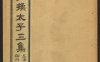 《全图狸猫换太子演义》