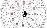 八字地支相合蘊藏的秘密