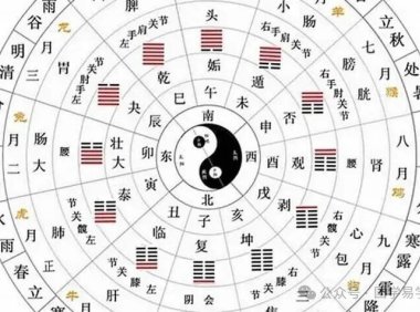 八字地支相合蘊藏的秘密